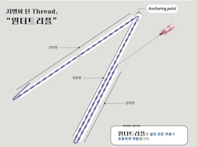 원더 트리플실